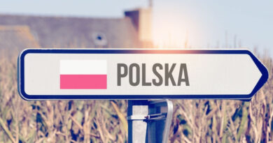 Polonya Çalışma Vizesi-Çalışma İzni